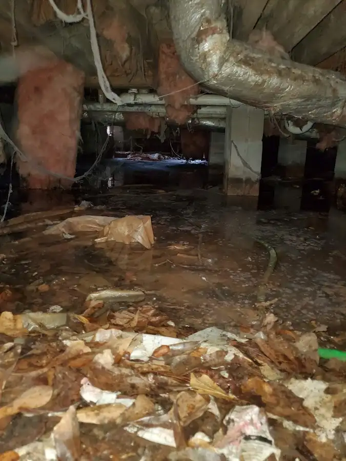 Crawl space flood assessment for Leak Detection & Repair in Hanover